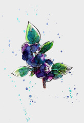 Myrtille bleue illustration dessinée à la main aquarelle et encre minimaliste multicolore