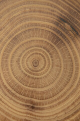 Sawn wood texture
