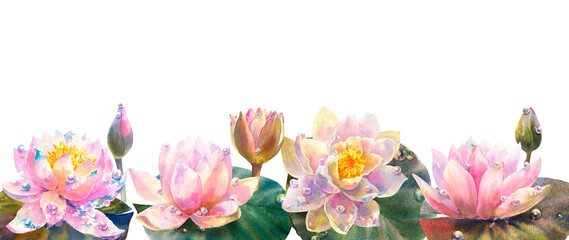 Water lily. Greeting card, banner with watercolor wild flowers on a white background. Lotus. Use for scrapbooking, Invitations, books and journals, decoupage,cards for weddings, birthdays