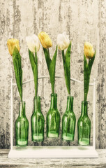 Ornament with five yellow and white tulips in green bottles hanging in white frame - 563109725