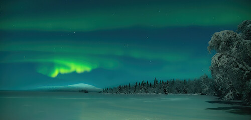 always magical nornther lights above Levi Finland