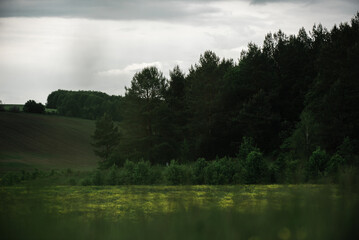 Fototapeta premium Summer landscape after the rain outside the city