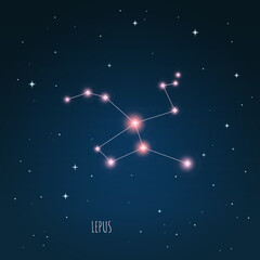 Obraz na płótnie Canvas Constellation scheme in starry sky. Open space. Vector illustration Lepus constellation through a telescope