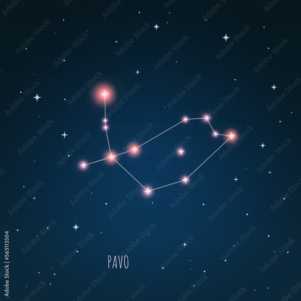 Canvas Prints constellation scheme in starry sky. open space. vector illustration pavo constellation through a tel