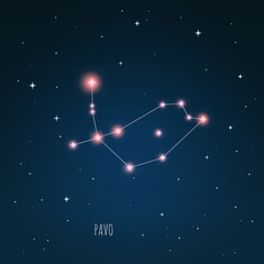 Obraz na płótnie Canvas Constellation scheme in starry sky. Open space. Vector illustration Pavo constellation through a telescope