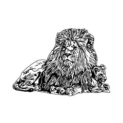 black and white sketch of a lion with a transparent background
