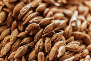 A mixture of grains of different types Background close-up
