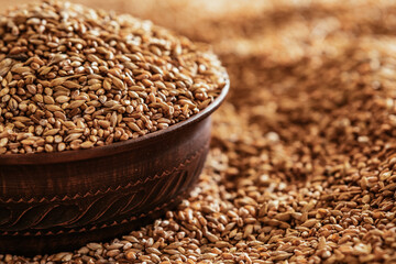 A grain of wheat in a clay bowl