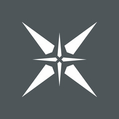 Star north quality vector illustration cut