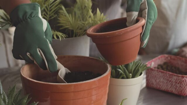 Cropped shot of unrecognizable female gardener in apron and gloves using hand trowel while adding some soil to pot while repotting house plants