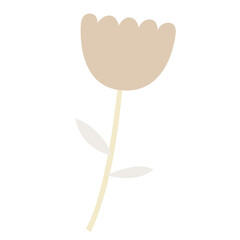 Transparent flower graphic resource in neutral colours