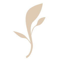 Transparent leaf graphic resource in neutral light brown