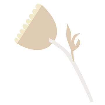 Transparent flower graphic resource in neutral colours