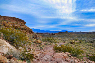 Fototapeta na wymiar Desert landscape along the Monolith Garden Trail, a hiking trail in the Mojave Desert near Kingman, Arizona, USA 