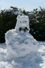 Bonhomme de neige avec une couronne et une moustache créée avec des branches de sapins, format vertical - obrazy, fototapety, plakaty