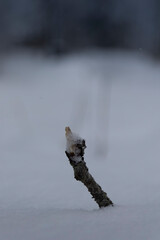 Beautiful day at Lake Väsman in Ludvika Dalarna Sweden with the lake covered in ice and no wind.
