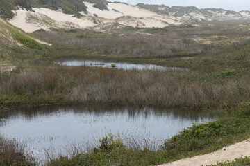 Sand hills and small lake at the beach