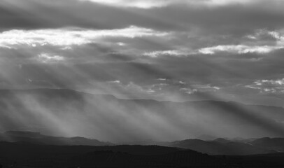 Panoramic view of an Andalusian agricultural landscape (Spain) with sunbeams illuminating hills of olive trees at sunset