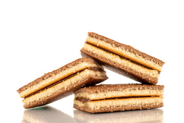 Three mini cocoa biscuit, macro, isolated on a white background.