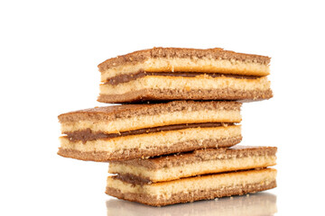 Three mini cocoa biscuit, macro, isolated on a white background.