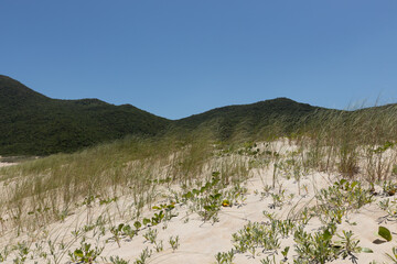 Sand hill and mountains at the beach
