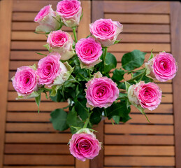Flowers pink roses on wooden background