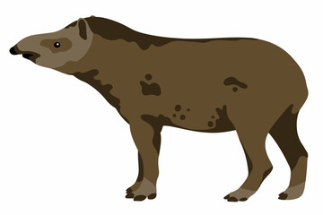 Fototapeta premium tapir vector cartoon illustration