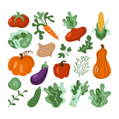 Vector vegetables icons set in cartoon flat style. Collection farm locally grown product for restaurant menu, market label. Tomatoes, carrot, pepper, pumpkin, corn isolated on background