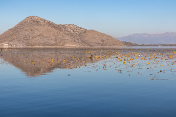 Panoramic view of Lake Skadar National Park in autumn seen from Virpazar, Bar, Montenegro, Balkans, Europe. Travel destination in Dinaric Alps near the Albanian border. Stunning landscape and nature