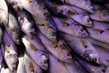 Frozen fish and seafood on ice
