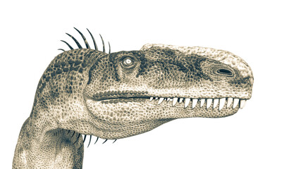 monolophosaurus profile picture id side view