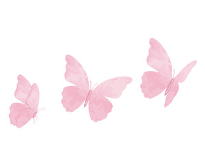 pink rose butterfly watercolor design