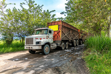 long truck from several trailers