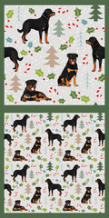 Seamless dog pattern, winter Happy Christmas texture. Square format, t-shirt, poster, packaging, textile, socks, textile, fabric, decoration, wrapping paper. Trendy hand-drawn Rottweiler dog breed.