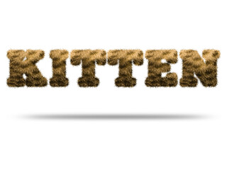 Kitten text design with realistic fur