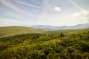 Mountain landscape in Ukrainian Carpathians in summer