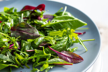 Fresh salad plate with mixed greens (arugula, mesclun, mache). Healthy food. Green food.