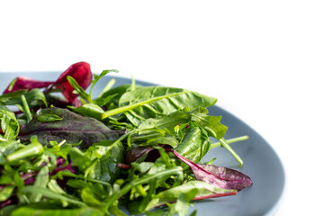 Fresh salad plate with mixed greens (arugula, mesclun, mache) on a white background. Healthy food. Green food.