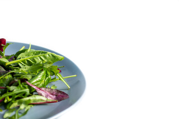 Fresh salad plate with mixed greens (arugula, mesclun, mache) on a white background. Healthy food. Green food.