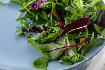 Fresh salad plate with mixed greens (arugula, mesclun, mache). Healthy food. Green food.