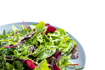 Fresh salad plate with mixed greens (arugula, mesclun, mache) on a white background. Healthy food. Green food.