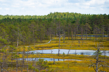Estonian Wetlands