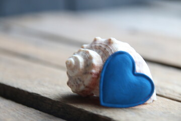 Shell on a wooden background. Marine background.