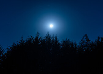 Fototapeta na wymiar Hermosa noche de luna