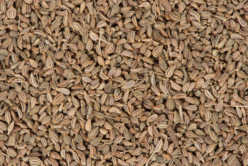 Brown Organic Ajwain Seed in a wood Bowl on a white Background. Ajowan seed. 