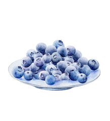 Blueberries isolated. Plate filled with blueberries hand-drawn in watercolor. Lots of blue berries. For sticker, poster, menu.
