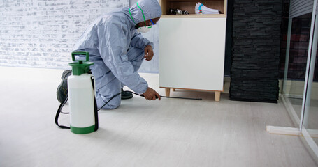 Pest Control Exterminator Man Spraying Termite Pesticide