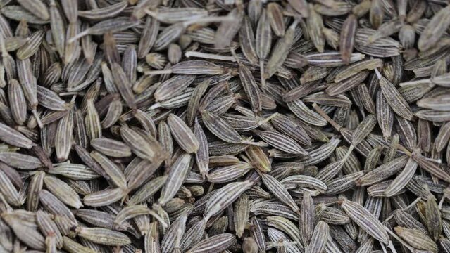 dry cumin grains rotate in a circle. view from above