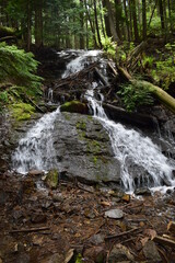 waterfall in the woods
