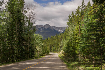 Traveling on asphalt highway and Rocky mountains in pine forest at Banff national park, Canada